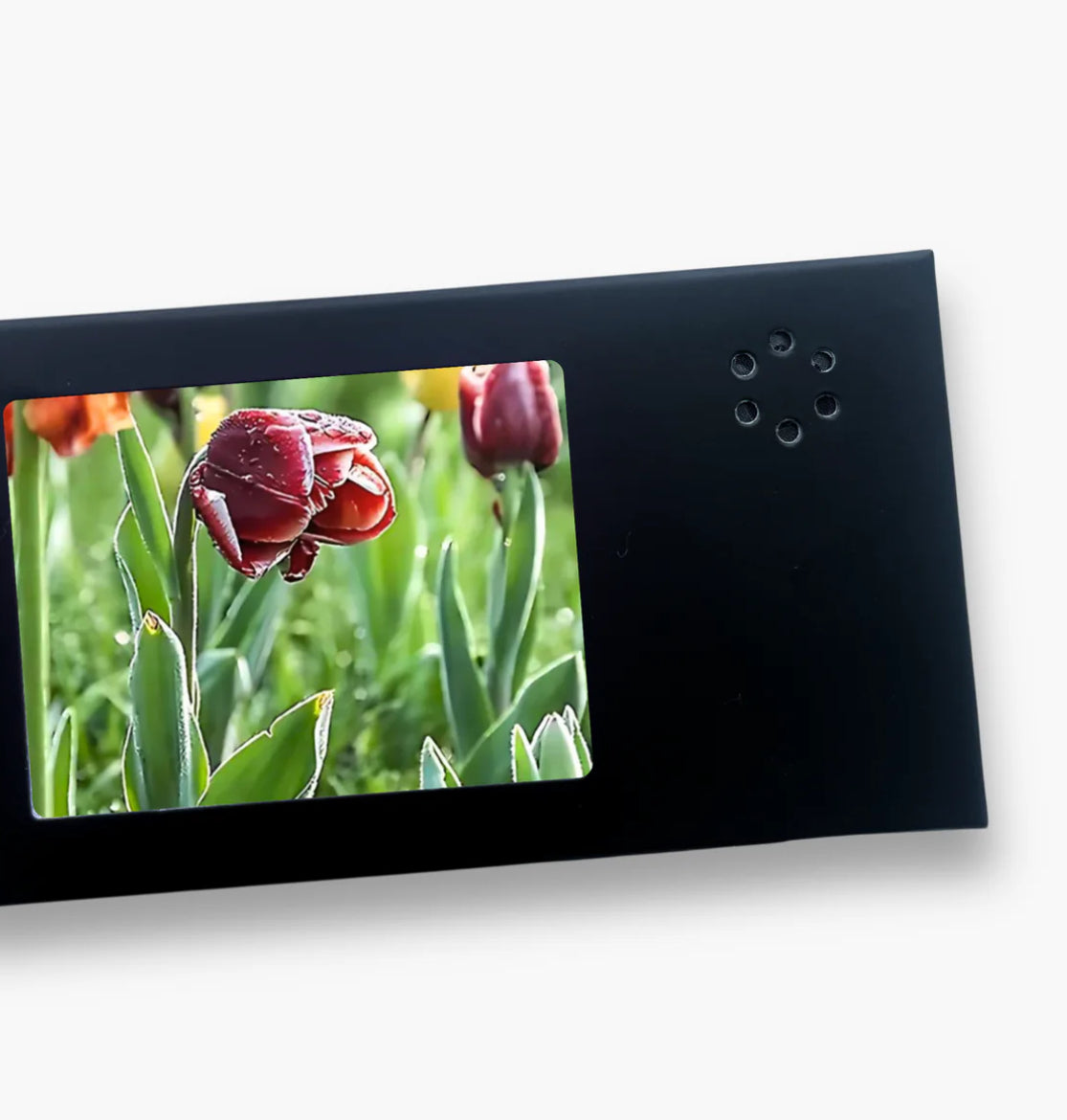 Mini Display Video Card