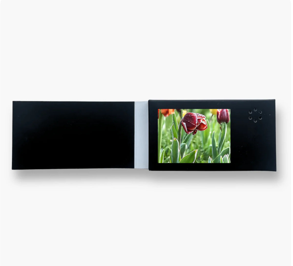 Mini Display Video Card